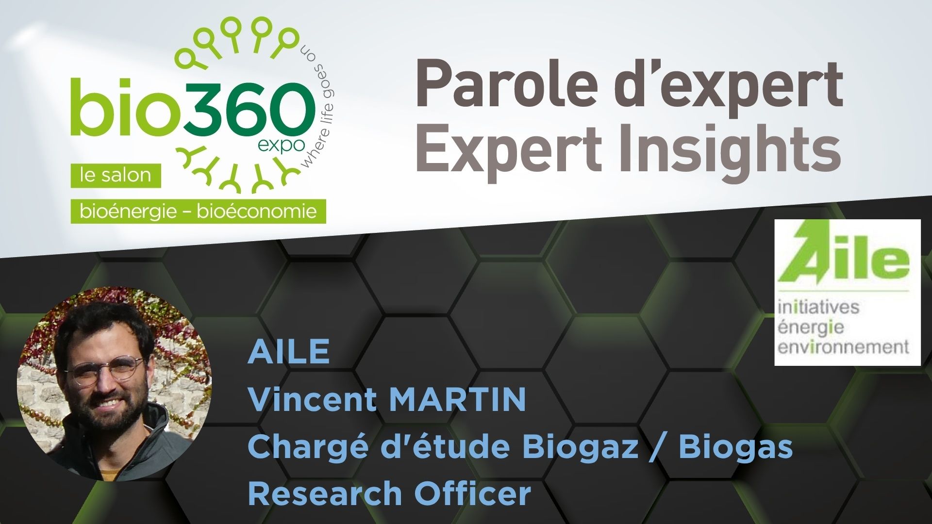 regard expert vincent martin