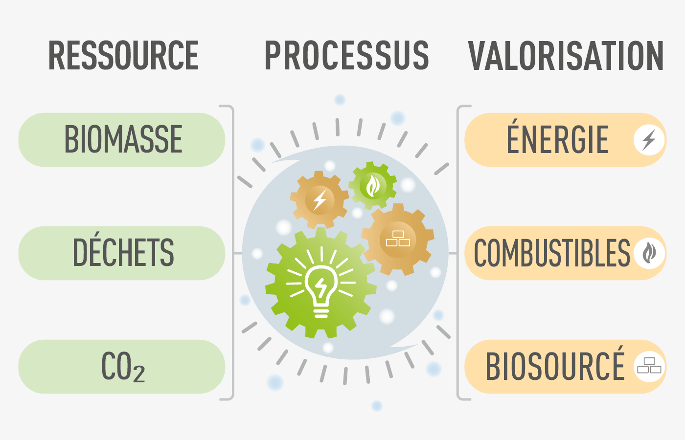 BIOTRANSITION FR