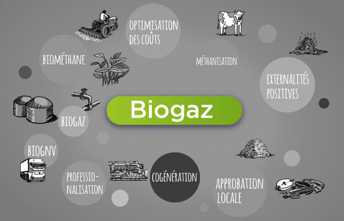 Biogaz