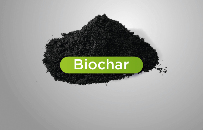 Le Biochar