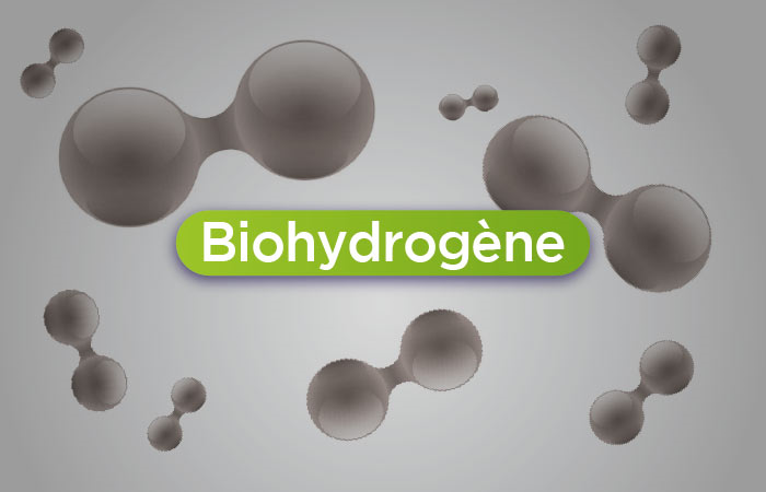 Biohydrogène