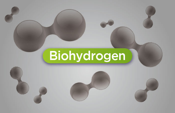 Biohydrogène