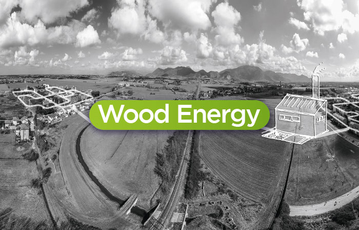 Wood Energy