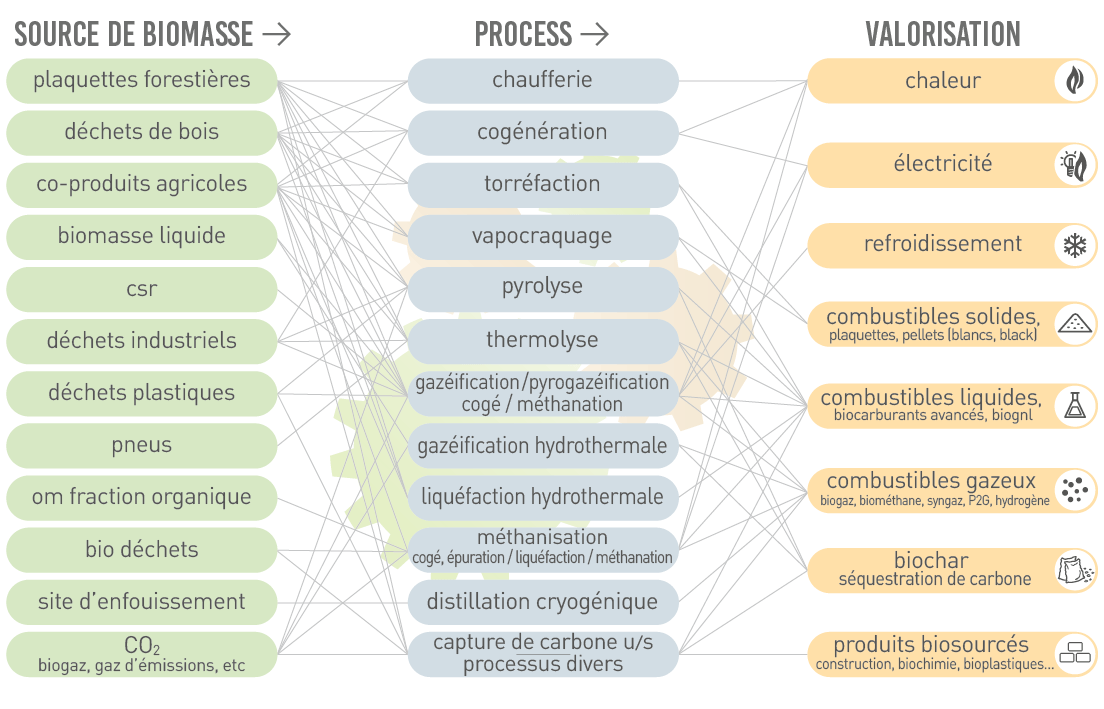 La Biotransition