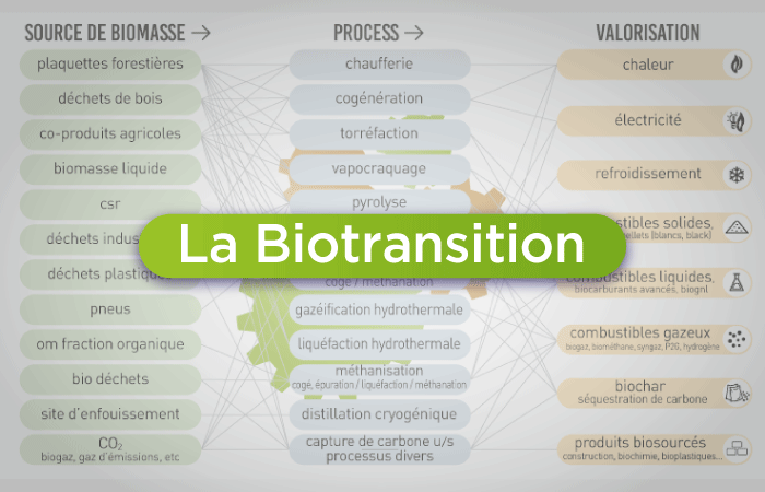 bioenergy