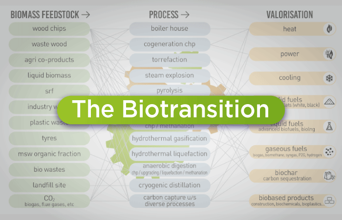 biotransition
