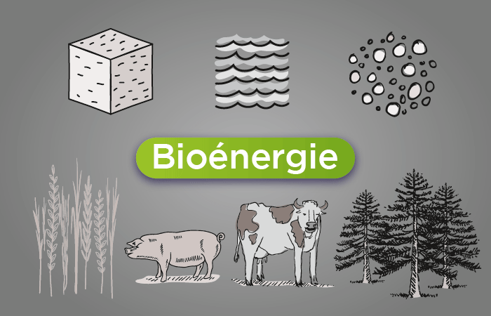 bioenergy