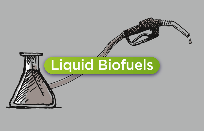 Advanced Liquid Biofuels