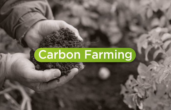 Carbon Farming