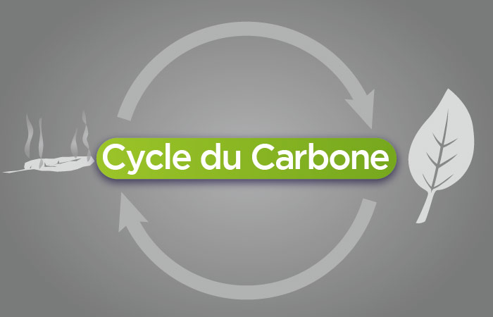 CycleCarbone